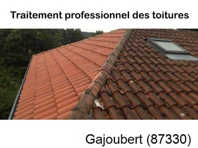 La référence en toiture à Gajoubert-87330