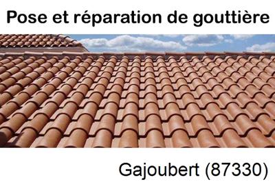 gouttière à Gajoubert-87330