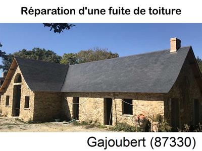 Réparation fuite à Gajoubert-87330