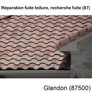 Votre couvreur pour la réparation des toits Glandon-87500