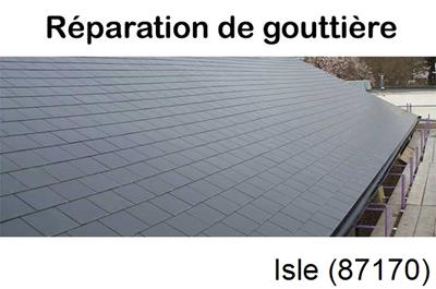 Travaux rénovation gouttière Isle-87170