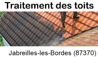 La référence en toiture à Jabreilles-les-Bordes-87370