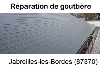 Travaux rénovation gouttière Jabreilles-les-Bordes-87370
