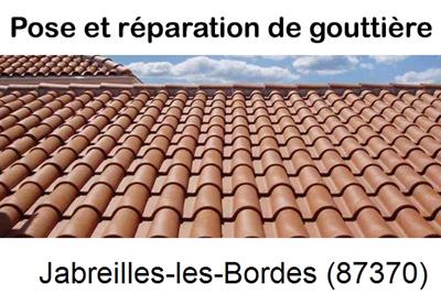 gouttière à Jabreilles-les-Bordes-87370
