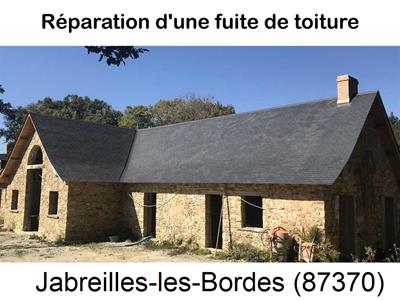 Artisan couvreur à la recherche d'une fuite Janailhac-87800