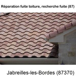 Votre couvreur pour la réparation des toits Janailhac-87800