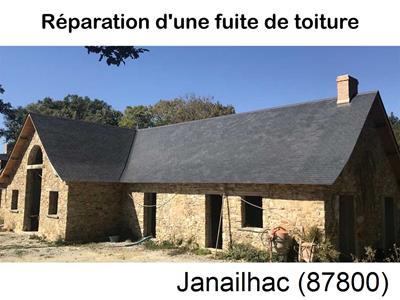 Artisan couvreur à la recherche d'une fuite Javerdat-87520