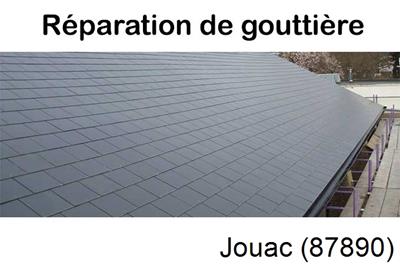 Travaux rénovation gouttière Jouac-87890