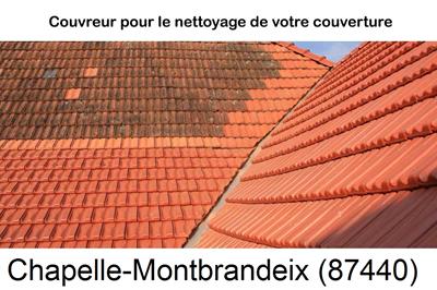 Entreprise de couverture à La Chapelle-Montbrandeix-87440