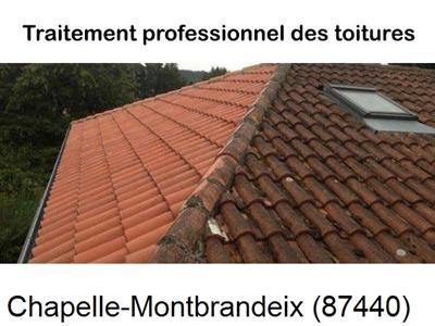 Couvreur pro 87 sur La Chapelle-Montbrandeix-87440