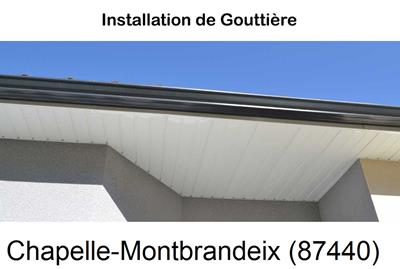 Entreprise de gouttière à La Chapelle-Montbrandeix-87440