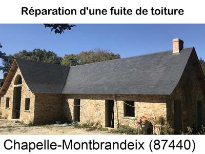 Réparation fuite de toiture à La Croisille-sur-Briance-87130