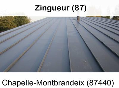 Votre zingueur en image à La Chapelle-Montbrandeix-87440