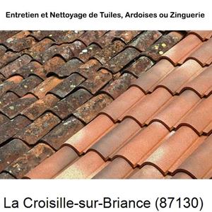 Nettoyage toiture à La Croisille-sur-Briance-87130