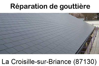 Travaux rénovation gouttière La Croisille-sur-Briance-87130