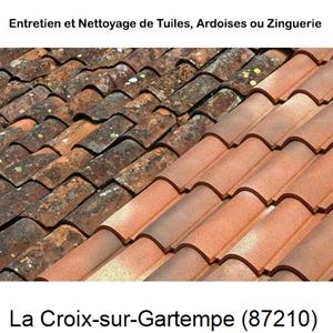 Nettoyage toiture à La Croix-sur-Gartempe-87210