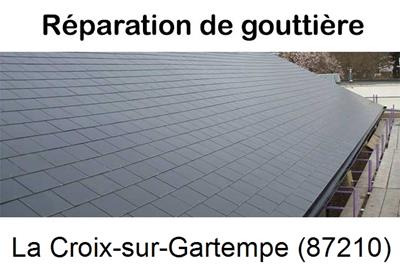 Travaux rénovation gouttière La Croix-sur-Gartempe-87210