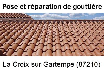 gouttière à La Croix-sur-Gartempe-87210