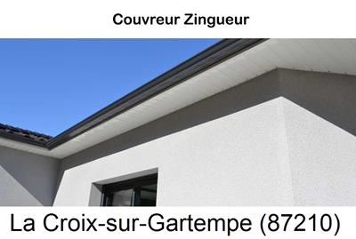 Toiture réparation, nettoyage gouttière La Croix-sur-Gartempe-87210