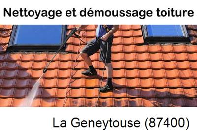 Artisan couvreur propose anti-mousse à La Geneytouse-87400