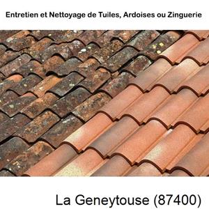 Nettoyage toiture à La Geneytouse-87400