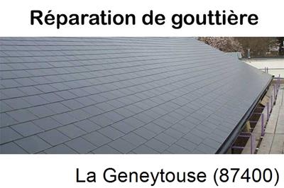 Travaux rénovation gouttière La Geneytouse-87400