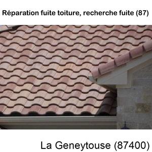 Votre couvreur pour la réparation des toits La Geneytouse-87400