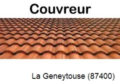 Toiture réparation à La Geneytouse-87400