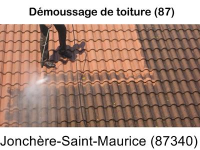 Toiture démoussage La Jonchère-Saint-Maurice-87340