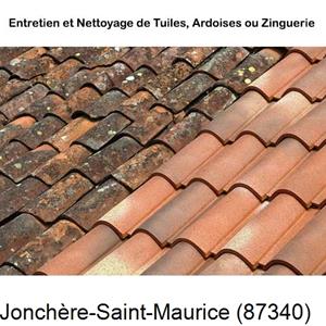 Nettoyage toiture à La Jonchère-Saint-Maurice-87340