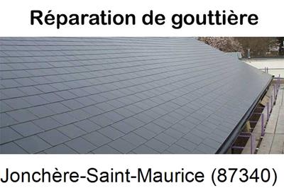 Travaux rénovation gouttière La Jonchère-Saint-Maurice-87340