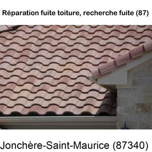 Votre couvreur pour la réparation des toits La Jonchère-Saint-Maurice-87340