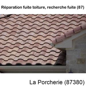 Votre couvreur pour la réparation des toits La Porcherie-87380