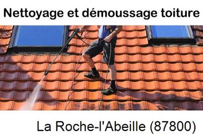 Démoussage sur toiture ardoise et tuile La Roche-l'Abeille-87800