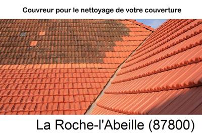 Entreprise de couverture à La Roche-l'Abeille-87800