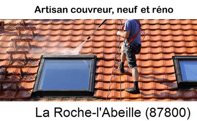 Artisan couvreur propose anti-mousse à La Roche-l'Abeille-87800