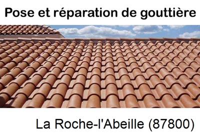 gouttière à La Roche-l'Abeille-87800