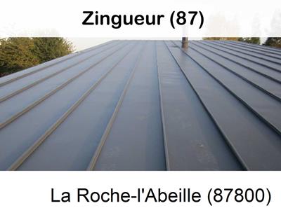 Votre zingueur en image à La Roche-l'Abeille-87800