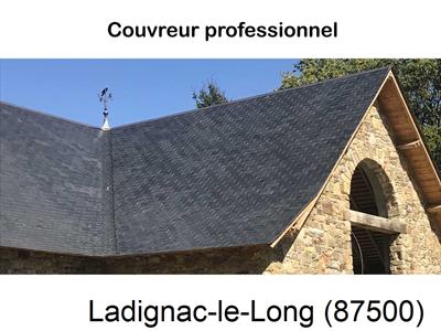 Artisan couvreur 87 Ladignac-le-Long-87500