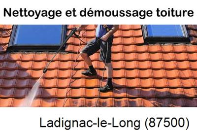 Artisan couvreur propose anti-mousse à Ladignac-le-Long-87500