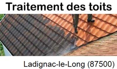 Démoussage sur toiture ardoise et tuile Ladignac-le-Long-87500