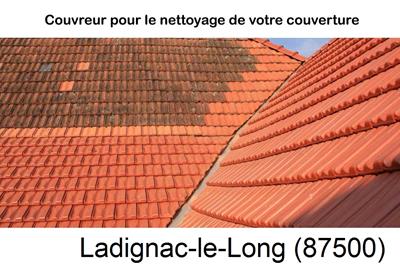 Entreprise de couverture à Ladignac-le-Long-87500