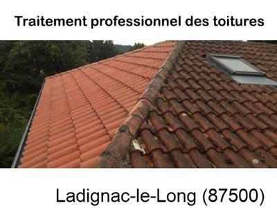 Couvreur pro 87 sur Ladignac-le-Long-87500