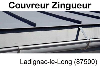 Photo toiture zinc Ladignac-le-Long-87500