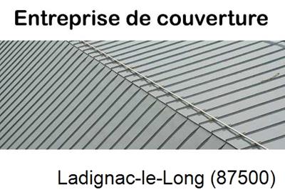 Couvreur pro 87 Ladignac-le-Long-87500