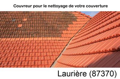 Nettoyage toiture à Laurière-87370