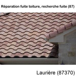 Votre couvreur pour la réparation des toits Laurière-87370