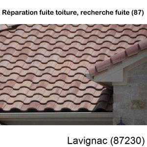 Votre couvreur dans le 87 pour la réparation de votre couverture à Lavignac-87230