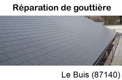 Travaux rénovation gouttière Le Buis-87140