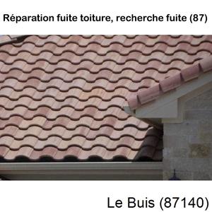 Votre couvreur pour la réparation des toits Le Buis-87140